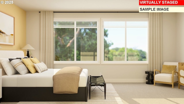 bedroom featuring carpet, baseboards, and multiple windows