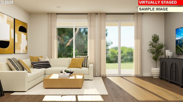 living room with hardwood / wood-style flooring