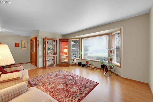 living room featuring light hardwood / wood-style floors