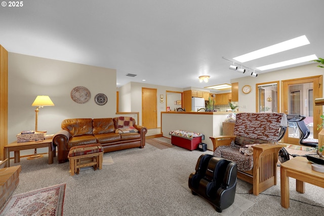 carpeted living room featuring rail lighting