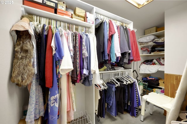 walk in closet with carpet floors