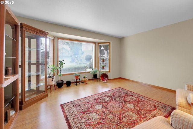 living area featuring light hardwood / wood-style flooring