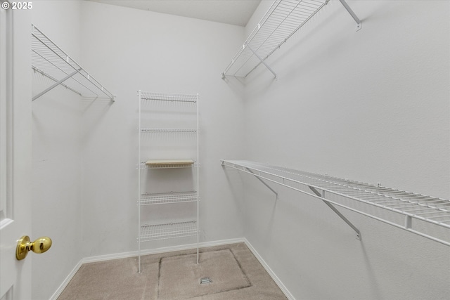 spacious closet with carpet floors