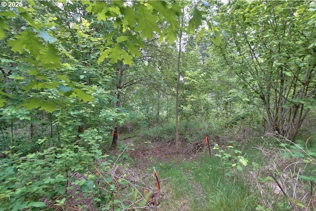 NE 69th, Hillsboro, OR 97123