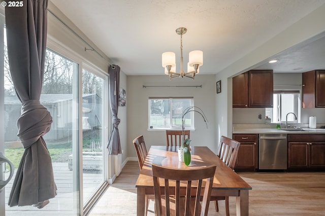 dining space featuring a healthy amount of sunlight and light wood-type flooring