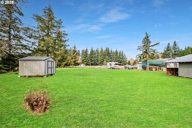 view of yard with a storage unit and an outbuilding