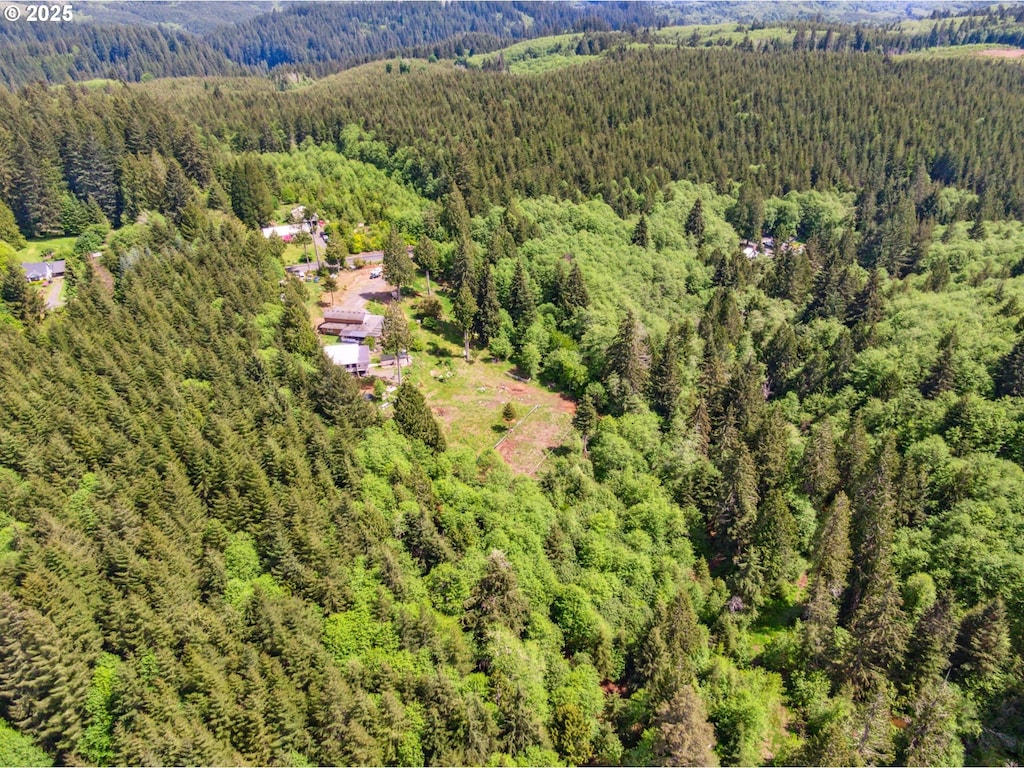 1407 Slide Creek Rd, Longview, WA 98632