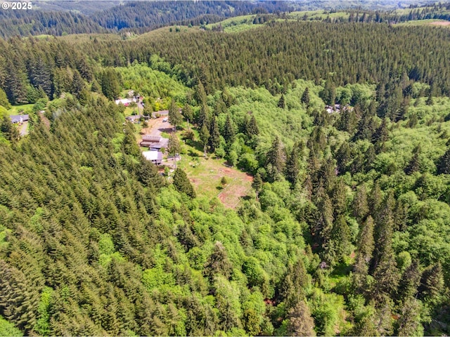 1407 Slide Creek Rd, Longview, WA 98632