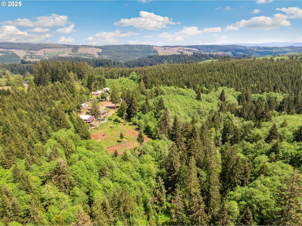 1407 Slide Creek Rd, Longview, WA 98632