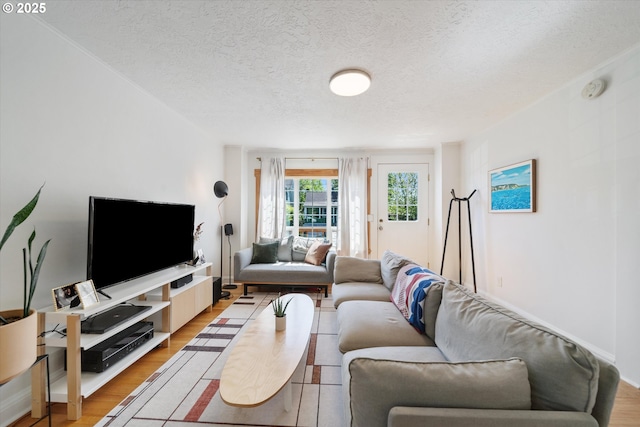 2055 N Alberta St, Portland, OR 97217 - living room with light wood-style flooring and a textured ceiling