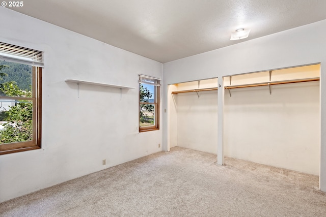2170 Hubbard Creek Rd, Umpqua, OR 97486 - unfurnished bedroom featuring multiple closets, multiple windows, and carpet floors