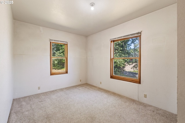 2170 Hubbard Creek Rd, Umpqua, OR 97486 - empty room featuring carpet and healthy amount of natural light