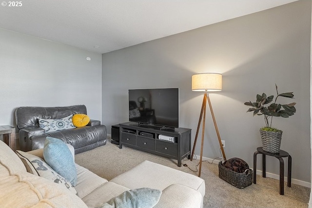 living area featuring baseboards and carpet floors