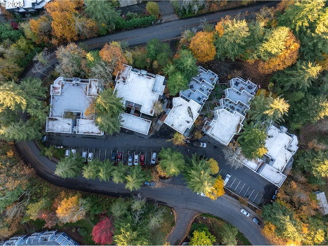 48 Eagle Crest Dr Unit 2E, Lake Oswego, OR 97035 - bird's eye view