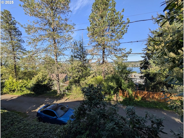 10539 NW 3rd St, Portland, OR 97231 - view of yard