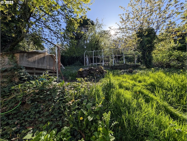 10539 NW 3rd St, Portland, OR 97231 - view of yard
