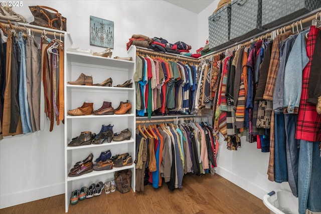 spacious closet featuring wood finished floors