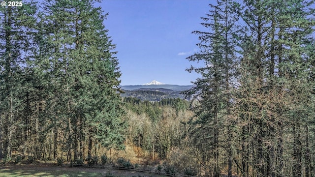 view of mountain feature featuring a forest view