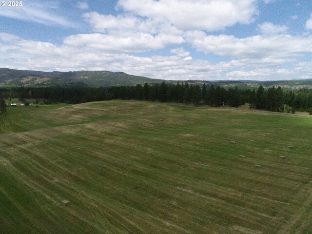 76984 Palmer Junction Rd, Elgin, OR 97827 - property view of mountains