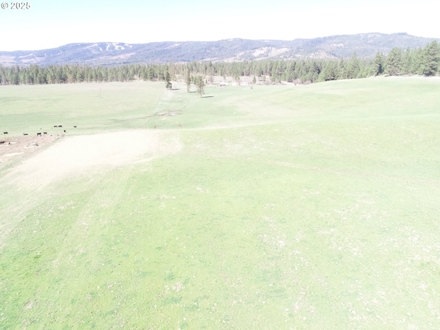 76984 Palmer Junction Rd, Elgin, OR 97827 - view of community featuring a mountain view