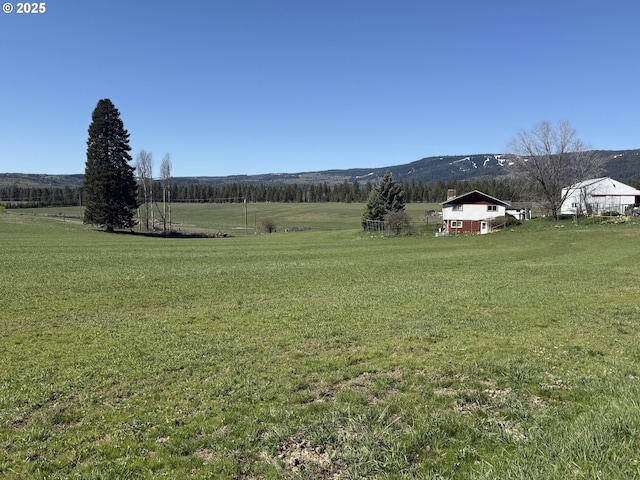 76984 Palmer Junction Rd, Elgin, OR 97827 - view of yard with a rural view and a mountain view