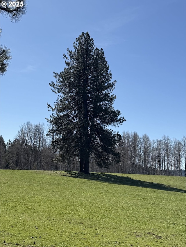 76984 Palmer Junction Rd, Elgin, OR 97827 - exterior space