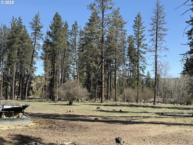 76984 Palmer Junction Rd, Elgin, OR 97827 - view of yard with a wooded view