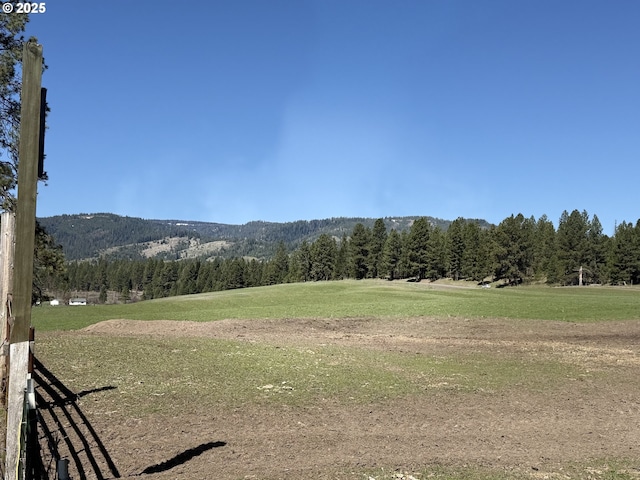 76984 Palmer Junction Rd, Elgin, OR 97827 - surrounding community with a lawn, a rural view, a mountain view, and a wooded view