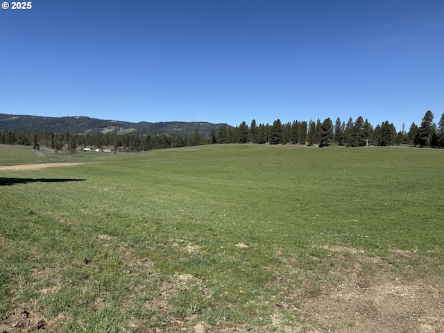 76984 Palmer Junction Rd, Elgin, OR 97827 - view of property's community featuring a lawn, a mountain view, and a wooded view