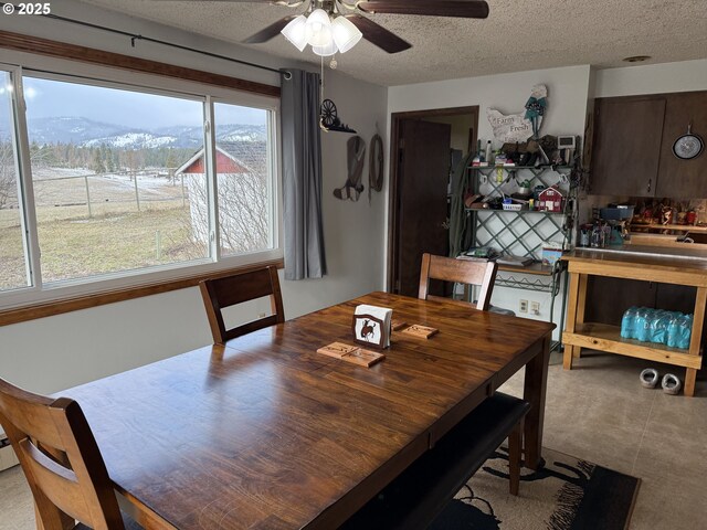 76984 Palmer Junction Rd, Elgin, OR 97827 - dining room with ceiling fan, a mountain view, and a textured ceiling