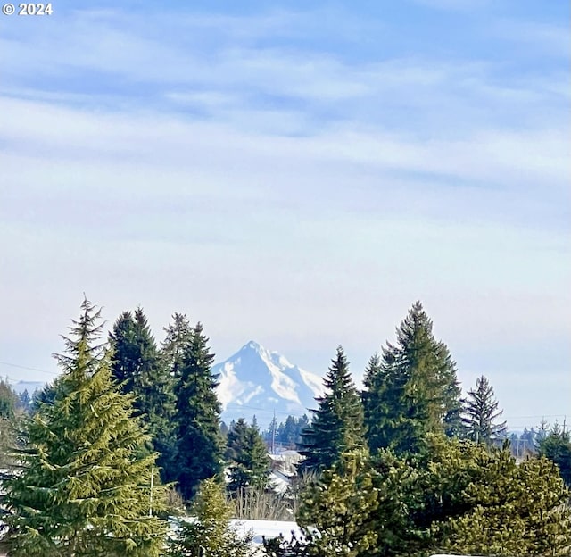 view of mountain feature