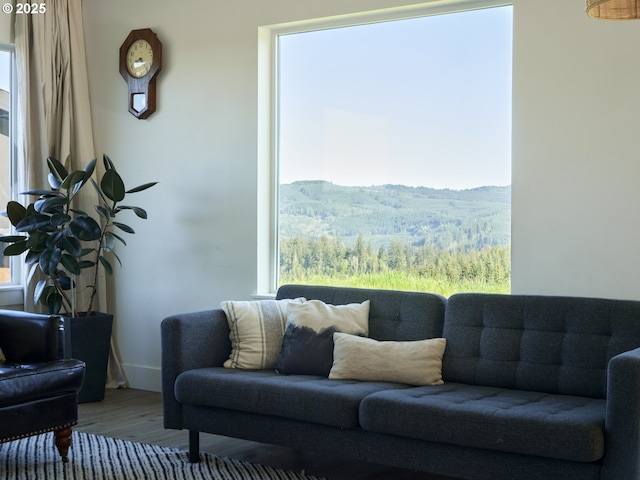 159 Bootjack Ln, Rose Valley, WA 98626 - living room with wood finished floors, plenty of natural light, and a mountain view