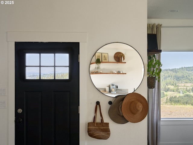 159 Bootjack Ln, Rose Valley, WA 98626 - view of entryway