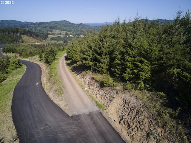 159 Bootjack Ln, Rose Valley, WA 98626 - drone / aerial view of a forest and a mountainous background