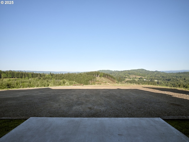 159 Bootjack Ln, Rose Valley, WA 98626 - view of yard