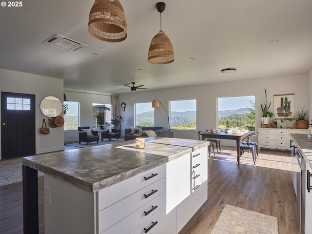 159 Bootjack Ln, Rose Valley, WA 98626 - kitchen with healthy amount of natural light, white cabinetry, wood finished floors, and a center island
