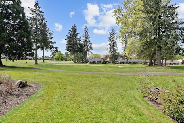 surrounding community featuring a yard