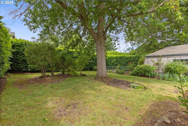 4621 NE 37th Ave, Portland, OR 97211 - view of green lawn