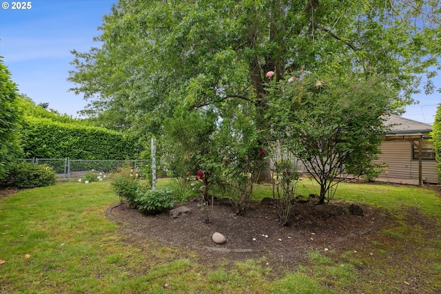 4621 NE 37th Ave, Portland, OR 97211 - view of yard