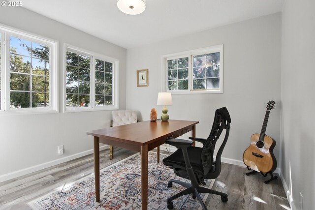 office space featuring wood finished floors, healthy amount of natural light, and baseboards