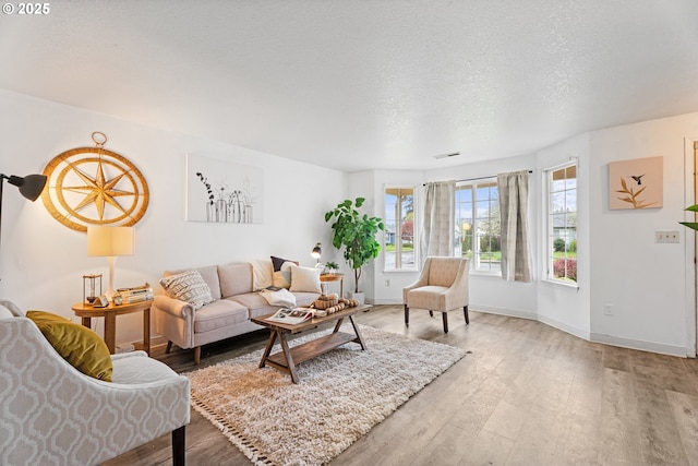 13816 NE 85th St, Vancouver, WA 98682 - living room with light wood finished floors, baseboards, and a textured ceiling