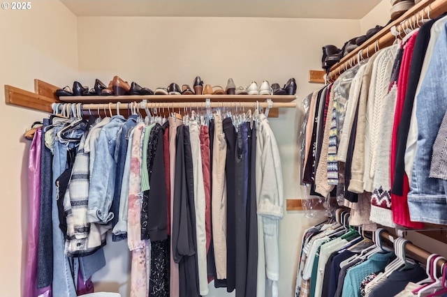 view of walk in closet