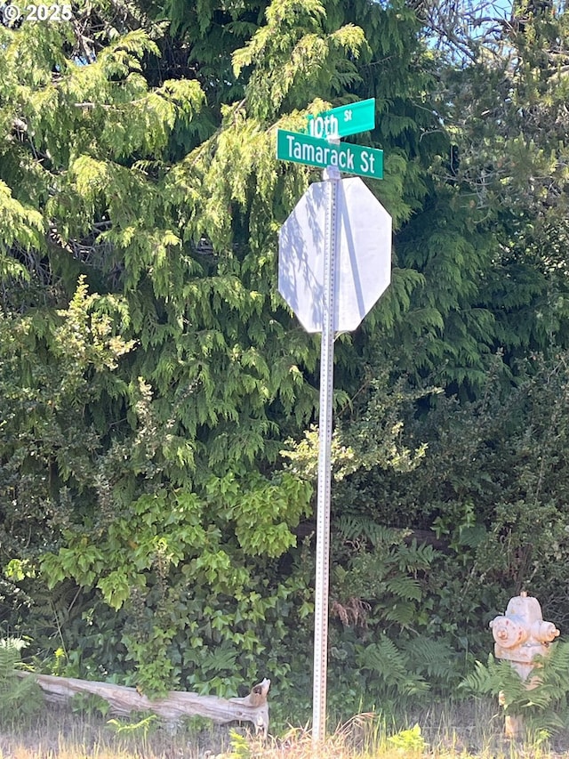 Tamarack, Florence, OR 97439