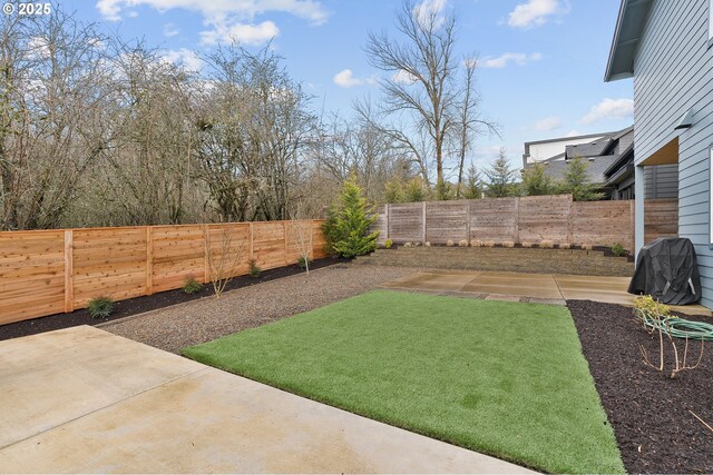 view of yard featuring a fenced backyard and a patio area