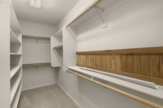 spacious closet featuring carpet floors