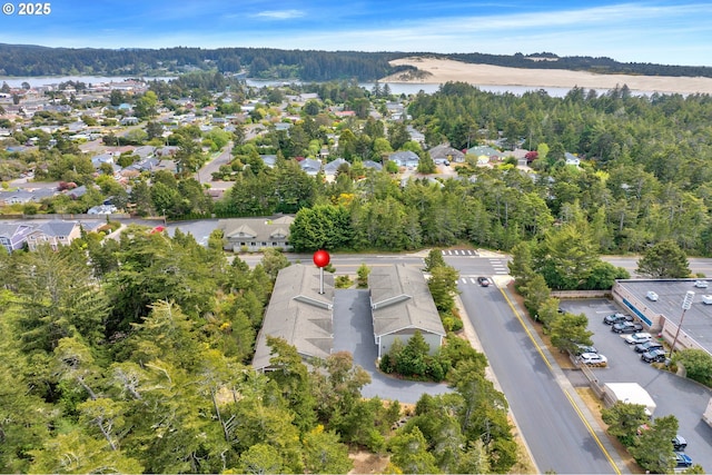 drone / aerial view of a forest and a large body of water