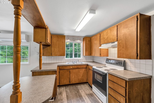 24344 NW Meacham Rd, North Plains, OR 97133 - kitchen featuring range with electric stovetop, under cabinet range hood, a sink, light wood-style floors, and decorative backsplash