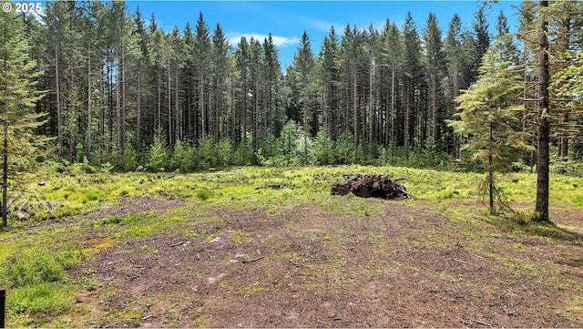 24344 NW Meacham Rd, North Plains, OR 97133 - view of wooded area