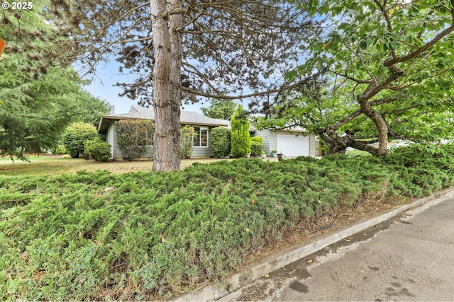 1018 S Holly Ct, Canby, OR 97013 - view of property hidden behind natural elements featuring an attached garage