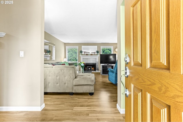 1018 S Holly Ct, Canby, OR 97013 - entryway with light wood-style flooring and a fireplace